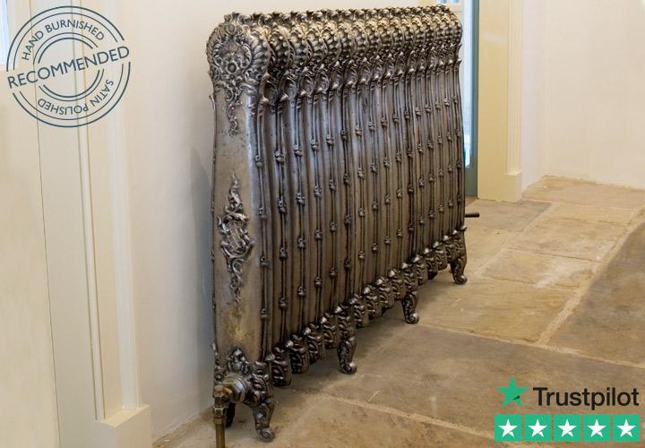 Antoinette Cast Iron Radiator