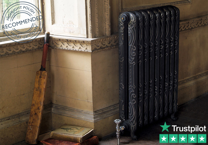 Orleans Cast Iron Radiator