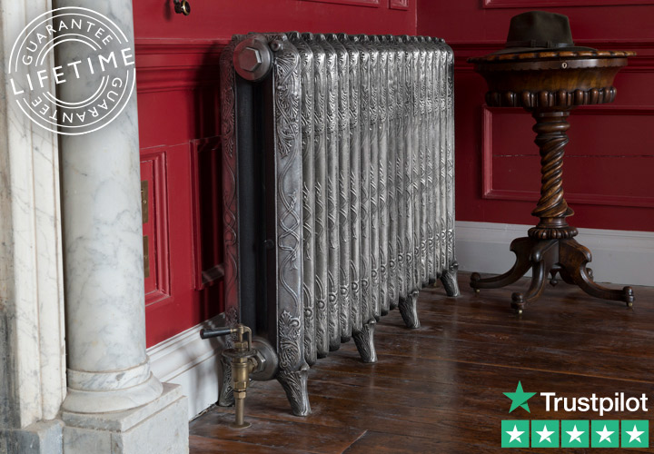 Ribbon 2 Column Cast Iron Radiator