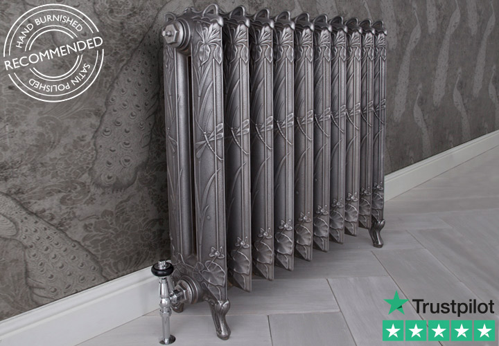 Dragonfly Cast Iron Radiator