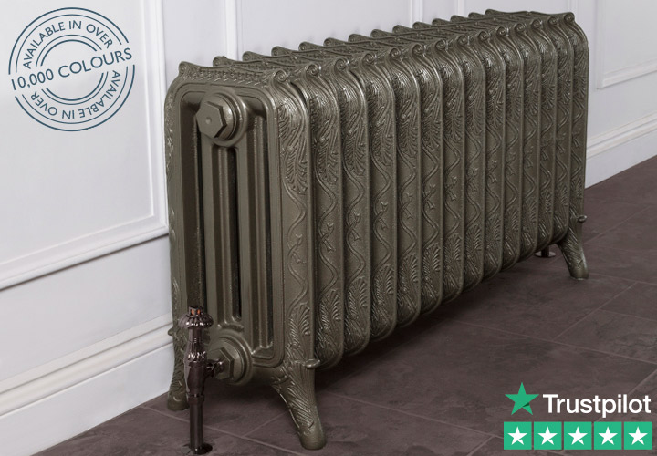 Ribbon 4 Column Cast Iron Radiator