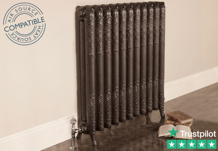 Rococo 2 Column Cast Iron Radiator